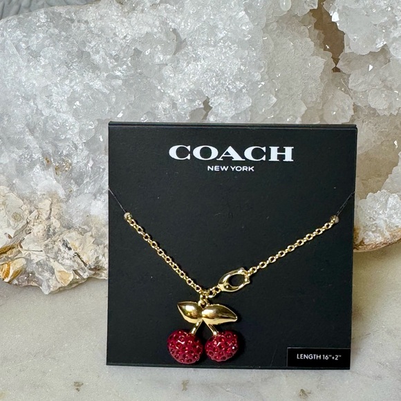 COACH Pavé Cherry Pendant Necklace - Picture 1 of 3